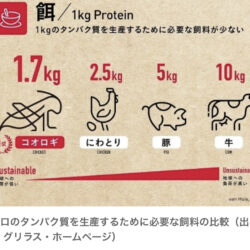 反コオロギの人は、感情論抜きにして、理論的にコオロギ食の何がダメなのか言えるの？