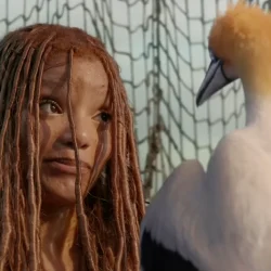 【爆笑】アメリカ人「リトルマーメイドが世界で爆死してるのさぁ、人種差別だろ?!?!」 【爆笑】アメリカ人「リトルマーメイドが世界で爆死してるのさぁ、人種差別だろ?!?!」