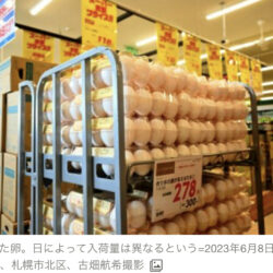 【朗報】食品の値上げ、止まりそう　日本人が貧乏すぎるため