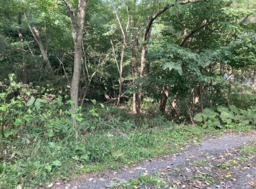 「自分が何を望んでいるのかが分かるだろう…」