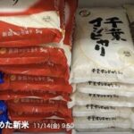 日本、恐怖のコメ余りに突入 Screenshot